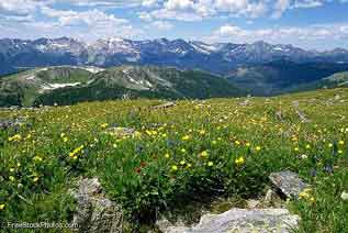 Rocky Mountain National Park - Alpine scene Rocky Mountain National Park - Alpine scene