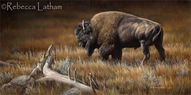 Bison Painting by Rebecca Latham