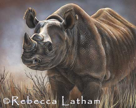 This is a new african painting I completed recently, featuring a black rhino.  The painting, titled 