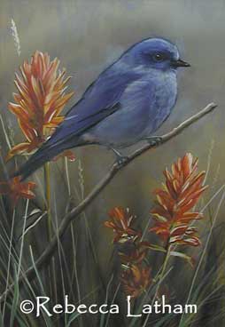 Mountain Bluebird and Indian Paintbrush wildflowers painting in progress by Rebecca Latham.