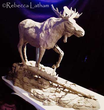 Progress of Rebecca Latham's new Bull Moose Precast Bronze Sculpture.