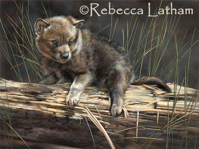 Rebecca Latham's new miniature watercolor painting 