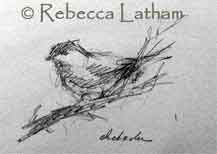 Rough sketch in graphite of one of the songbirds visiting my feeders - Carolina Chickadee from Rebecca's sketchbook