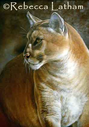 CougarPaintingFinished0606.jpg CougarPaintingFinished0606.jpg