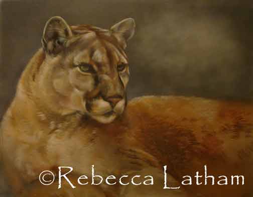 The cougar painting has progressed a bit. Most of the fur has now been painted in. I should have the painting nearly complete by the end of our show here at the Moose Horn Gallery. :) The cougar painting has progressed a bit. Most of the fur has now been painted in. I should have the painting nearly complete by the end of our show here at the Moose Horn Gallery. :)