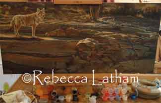 Coyote painting in progress by Rebecca Latham