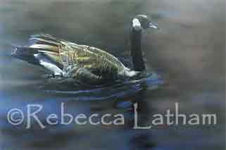 DUCanadaGooseMNOCT05 Minnesota Ducks Unlimited   Sponsor Print Painting