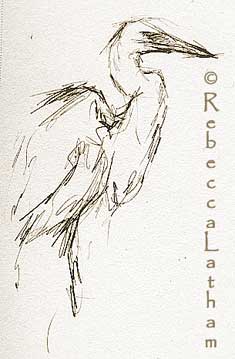 GreatEgretSketchfromFL Painting & Sketching...
