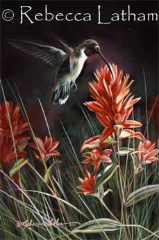 Rebecca's new hummingbird & paintbrush blossoms miniature painting