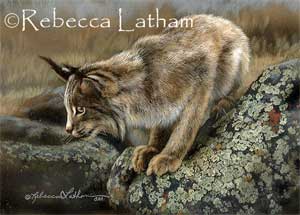 A Closer Look - Lynx -- a new watercolor miniature painting by artist Rebecca Latham