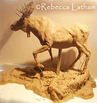 Rebecca Latham's bronze moose sculpture in progress (precast) Rebecca Latham's bronze moose sculpture in progress (precast)