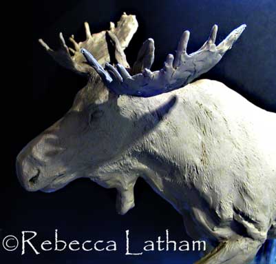 Moose head detail - updated artwork by Rebecca Latham Moose head detail - updated artwork by Rebecca Latham