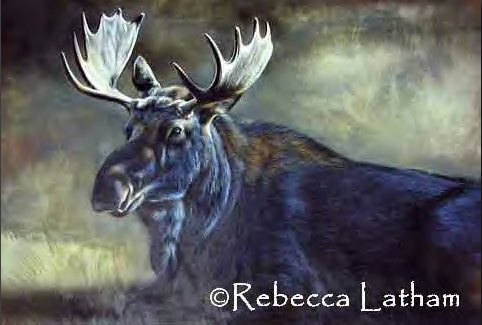 New watercolor painting by Rebecca Latham - Bull Moose Miniature Painting New watercolor painting by Rebecca Latham - Bull Moose Miniature Painting