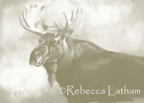 Rebecca Latham's new watercolor painting of a bull moose.