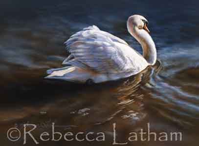 I recently received notice, from the (MPSGS) Miniature Painters, Sculptors, and Gravers Society of Washington, D.C.'s '73rd Annual Exhibition of Fine Arts Miniatures, that I was awarded the “The Manny Sullivan Memorial Award for Excellence”, second in show, for my watercolor painting “Bashful – Mute Swan”. This year's miniature show consists of 712 artworks entered in the international exhibition that will be held at the Strathmore Mansion in North Bethesda, Maryland. I recently received notice, from the (MPSGS) Miniature Painters, Sculptors, and Gravers Society of Washington, D.C.'s '73rd Annual Exhibition of Fine Arts Miniatures, that I was awarded the “The Manny Sullivan Memorial Award for Excellence”, second in show, for my watercolor painting “Bashful – Mute Swan”. This year's miniature show consists of 712 artworks entered in the international exhibition that will be held at the Strathmore Mansion in North Bethesda, Maryland.
