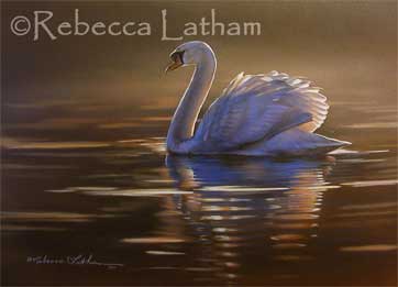 Rebecca's new mute swan watercolor painting (7x9 inches). Rebecca's new mute swan watercolor painting (7x9 inches).