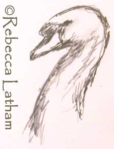 rough thumbnail sketch (in graphite pencil) of a mute swan - portrait.