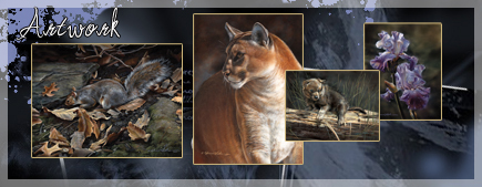 Wildlife Paintings