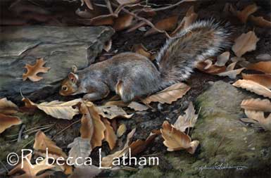 Rebecca Latham's new grey squirrel painting for Impressions of New England art exhibition at the Bennington Center for the Arts