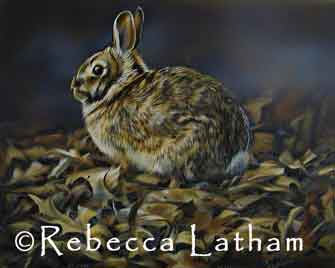 Rebecca Latham's watercolor miniature rabbit painting in progress Rebecca Latham's watercolor miniature rabbit painting in progress