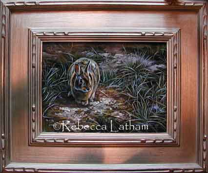 Rebecca Latham's New miniature watercolor rabbit painting. Rebecca Latham's New miniature watercolor rabbit painting.