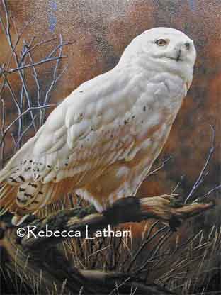 A new 20x30 canvas Print of Rebecca's recent Snowy Owl Painting 