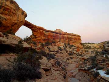 I thought some of my blog visitors might enjoy a little southwestern wilderness! :) I thought some of my blog visitors might enjoy a little southwestern wilderness! :)