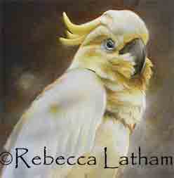 Miniature painting of a Sulphur Cockatoo in watercolor by Rebecca Latham