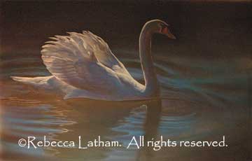 New Mute Swan Painting