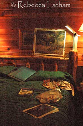 Travelstudio Painting in Jackson Hole