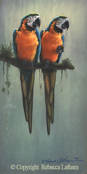 Two-of-a-Kind-Macaws - Blue and Gold Macaw painting by Rebecca Latham