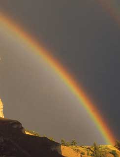 Western Rainbow