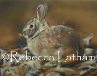 New miniature rabbit watercolor painting by Rebecca Latham.