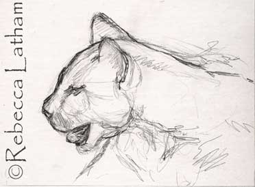 cougar sketch JUL05 Sketch for a New Cougar Miniature Painting