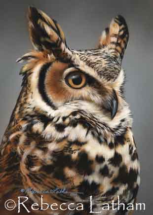 This piece is one of my new miniature watercolor paintings – completed about a week and a half ago or so.  It is 5x7 and of a great horned owl – titled “sentinel”.  While painting this miniature, I noticed that haven't painted too many owls in a while.  I think I might paint a few more of them soon. :)