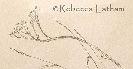 A rough sketch from Rebecca Latham's sketch book featuring habitat detail.