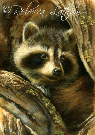 Raccoon Miniature Painting in Progress - watercolor on board