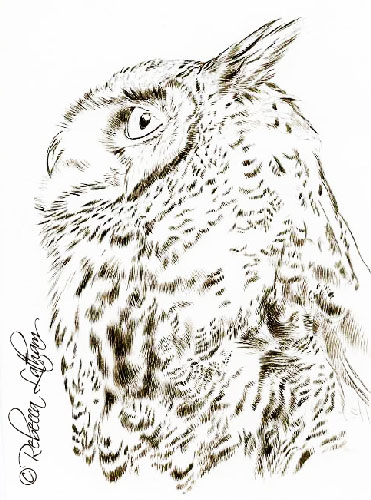 Great Horned Owl watercolor miniature painting in progress, sepia stage. Great Horned Owl watercolor miniature painting in progress, sepia stage.