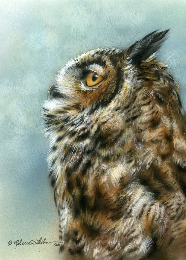 gho142010 Great Horned Owl