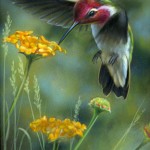 Wingbeat - Anna's Hummingbird annas004 150x150 Gallery Norths Miniatures Show, Edmonds, WA