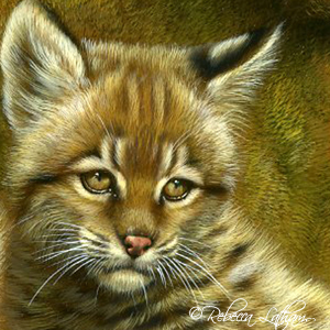 Bobcat Kittens (detail), 10"x10", watercolor on board, ©Rebecca Latham bobcats2 Two Little Bobcats Completed