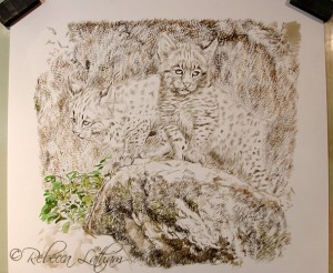 Bobcat Kittens, 10"x10", watercolor on board, ©Rebecca Latham - sepia stage kittens sepia 300x246 Two Little Bobcats Completed