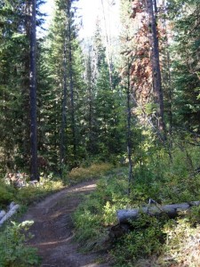 Hike in Black Canyon Wilderness
