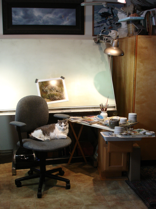 Studio snapshot: right-view Studio1 Peek in the Studio