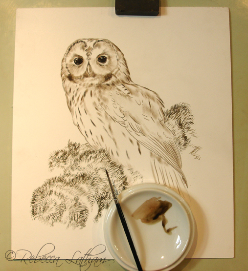 TawnyOwl2 11 Tawny Owl – New Painting in Sepia stage