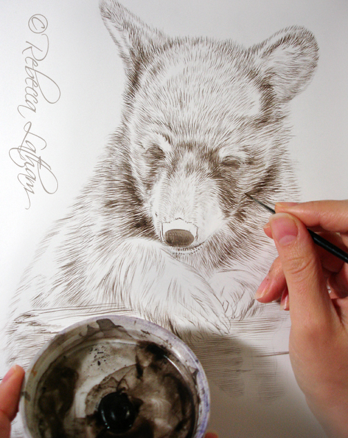 Bear painting, watercolor on board, Rebecca Latham BabyBear1 Bear Cub 9×12 (Sepia)