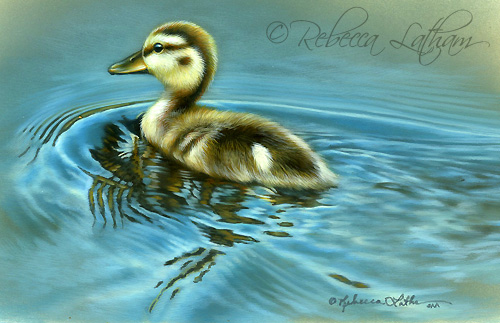 duckling duckling01 Little Duckling Watercolor