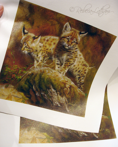 Explorers canvas giclee print giclee Explorers Bobcat Kittens Giclee Release
