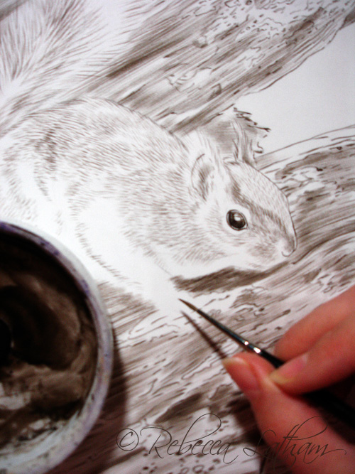 RedSquirrelSepia1 Red squirrel 8x10 (Sepia)