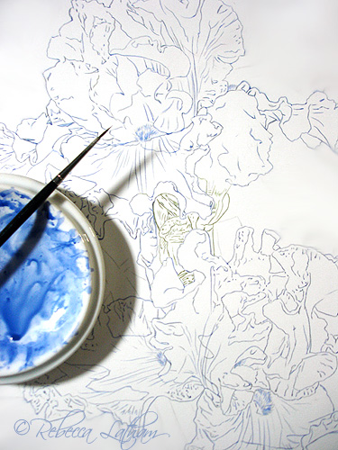 blueiris Blue Irises 9×12 in Progress